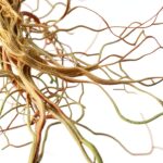 Emergency Pediatrics Spanish Medical Book Kindle Edition-0