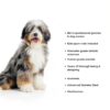 Pupwell Dematting Comb for Dogs Long Hair Grooming Tool-5