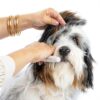 Pupwell Dematting Comb for Dogs Long Hair Grooming Tool-2