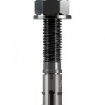 Simpson Strong-Tie Strong-Bolt 2 3/4" x 5-1/2" Wedge Anchor 10-Pack-0