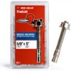 Red Head 5/8 in. x 5 in. Wedge Anchor 10CT-1